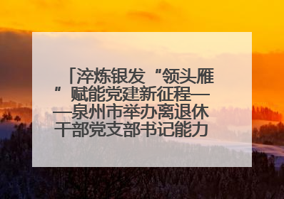 淬炼银发“领头雁”赋能党建新征程——泉州市举办离退休干部党支部书记能力建设专题培训
