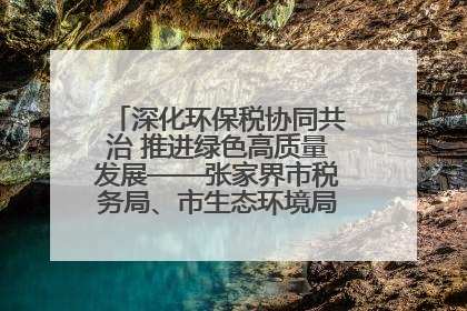 深化环保税协同共治 推进绿色高质量发展——张家界市税务局、市生态环境局签署合作备忘录