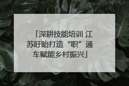 深耕技能培训 江苏盱眙打造“职”通车赋能乡村振兴