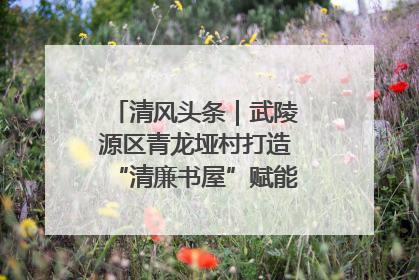 清风头条｜武陵源区青龙垭村打造“清廉书屋”赋能乡村振兴新风尚