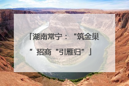 湖南常宁：“筑金巢”招商“引雁归”