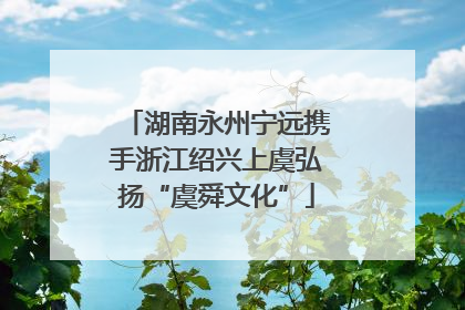 湖南永州宁远携手浙江绍兴上虞弘扬“虞舜文化”