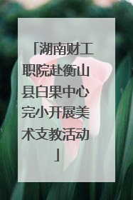 湖南财工职院赴衡山县白果中心完小开展美术支教活动