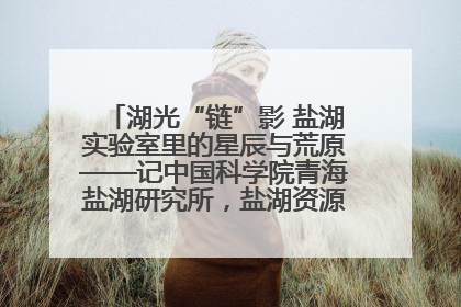 湖光“链”影 盐湖实验室里的星辰与荒原——记中国科学院青海盐湖研究所，盐湖资源化学实验室党总支书记、副主任刘忠