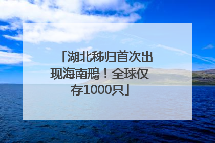 湖北秭归首次出现海南鳽！全球仅存1000只