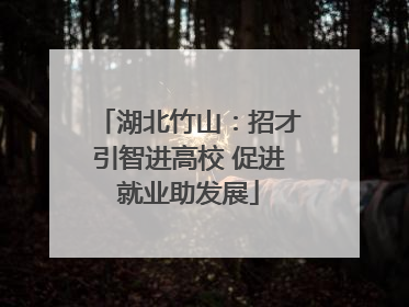 湖北竹山：招才引智进高校 促进就业助发展