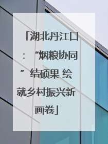 湖北丹江口：“烟粮协同”结硕果 绘就乡村振兴新画卷
