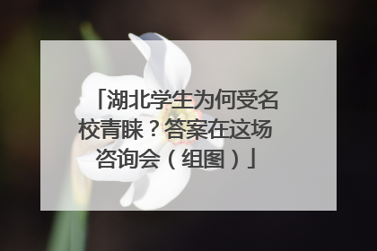湖北学生为何受名校青睐？答案在这场咨询会（组图）