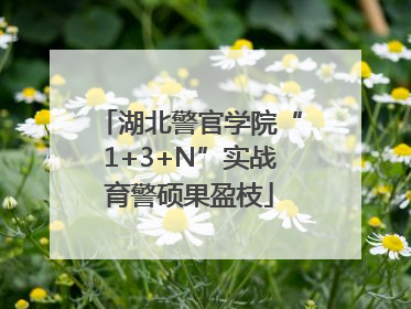湖北警官学院“1+3+N”实战育警硕果盈枝