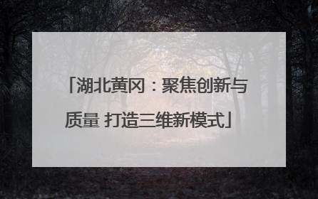 湖北黄冈：聚焦创新与质量 打造三维新模式