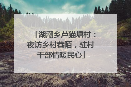 湖潮乡芦猫塘村：夜访乡村巷陌，驻村干部情暖民心