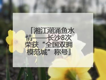 湘江潮涌鱼水情——长沙8次荣获“全国双拥模范城”称号