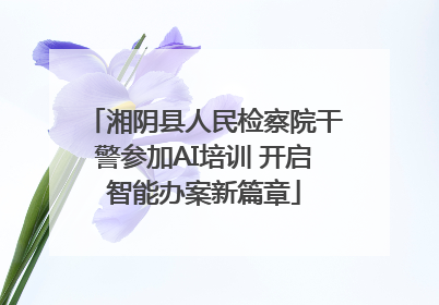 湘阴县人民检察院干警参加AI培训 开启智能办案新篇章