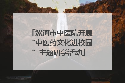 漯河市中医院开展“中医药文化进校园”主题研学活动