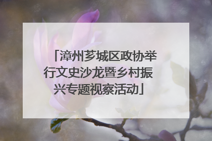 漳州芗城区政协举行文史沙龙暨乡村振兴专题视察活动