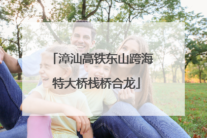 漳汕高铁东山跨海特大桥栈桥合龙
