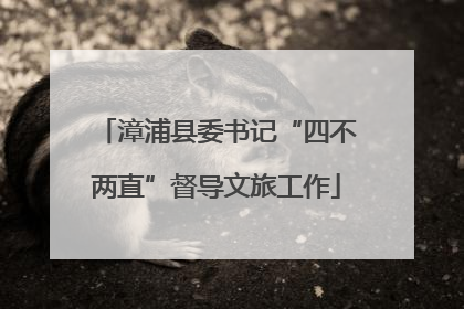 漳浦县委书记“四不两直”督导文旅工作