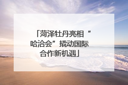 菏泽牡丹亮相“哈洽会”撬动国际合作新机遇