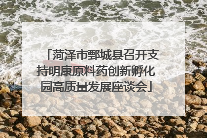 菏泽市鄄城县召开支持明康原料药创新孵化园高质量发展座谈会