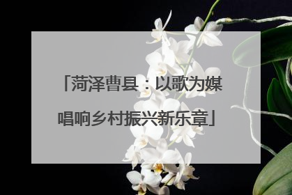 菏泽曹县：以歌为媒 唱响乡村振兴新乐章