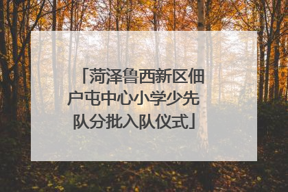 菏泽鲁西新区佃户屯中心小学少先队分批入队仪式