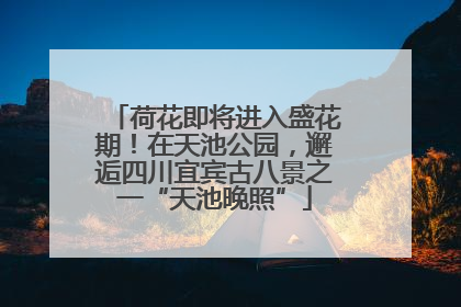 荷花即将进入盛花期！在天池公园，邂逅四川宜宾古八景之一“天池晚照”