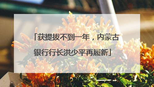 获提拔不到一年，内蒙古银行行长洪少平再履新