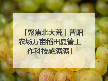 聚焦北大荒｜普阳农场万亩稻田夏管工作科技感满满