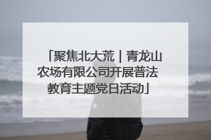 聚焦北大荒｜青龙山农场有限公司开展普法教育主题党日活动
