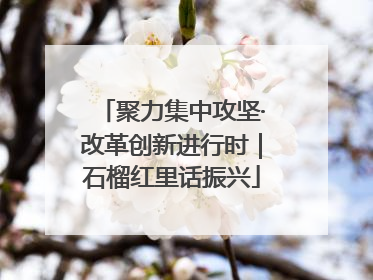 聚力集中攻坚·改革创新进行时｜石榴红里话振兴
