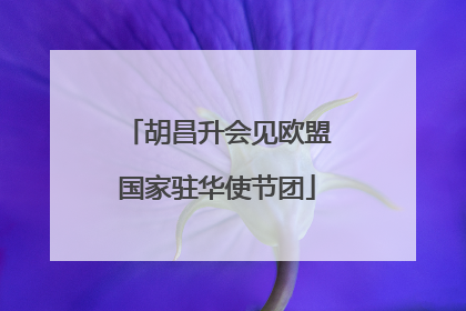 胡昌升会见欧盟国家驻华使节团
