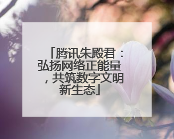 腾讯朱殿君：弘扬网络正能量，共筑数字文明新生态