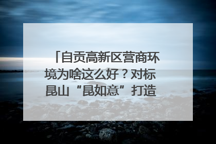 自贡高新区营商环境为啥这么好？对标昆山“昆如意”打造自贡“高兴办”｜美好生活有“盐”味