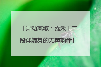 舞动离歌：嘉禾十二段伴嫁舞的无声韵律