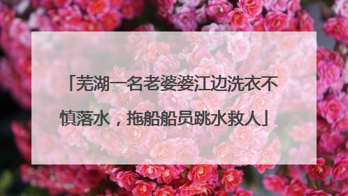 芜湖一名老婆婆江边洗衣不慎落水，拖船船员跳水救人
