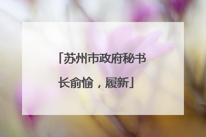 苏州市政府秘书长俞愉，履新