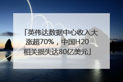 英伟达数据中心收入大涨超70%，中国H20相关损失达80亿美元