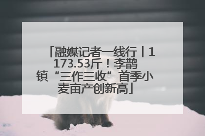 融媒记者一线行丨1173.53斤！李鹊镇“三作三收”首季小麦亩产创新高