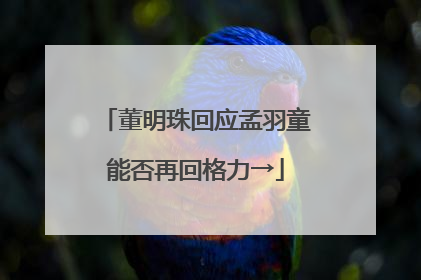 董明珠回应孟羽童能否再回格力→