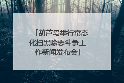 葫芦岛举行常态化扫黑除恶斗争工作新闻发布会