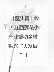藠头喜丰收！江西莲花小产业撬动乡村振兴“大发展”