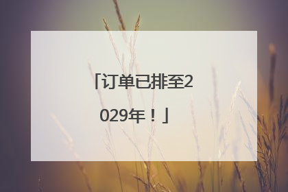 订单已排至2029年！