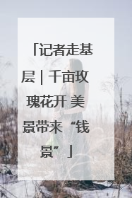 记者走基层｜千亩玫瑰花开 美景带来“钱景”