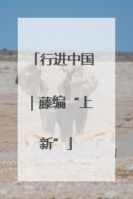 行进中国｜藤编“上新”