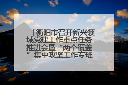 衡阳市召开新兴领域党建工作重点任务推进会暨“两个覆盖”集中攻坚工作专班 第一次会议