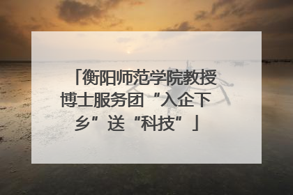 衡阳师范学院教授博士服务团“入企下乡”送“科技”