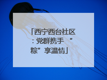 西宁西台社区：党群携手 “粽”享温情