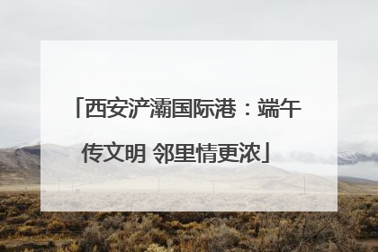 西安浐灞国际港：端午传文明 邻里情更浓