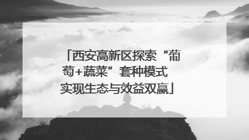 西安高新区探索“葡萄+蔬菜”套种模式 实现生态与效益双赢