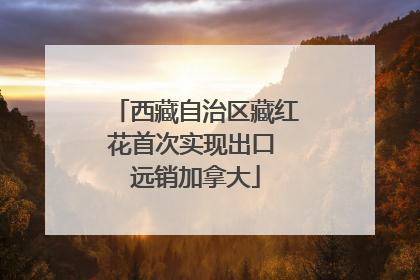 西藏自治区藏红花首次实现出口 远销加拿大